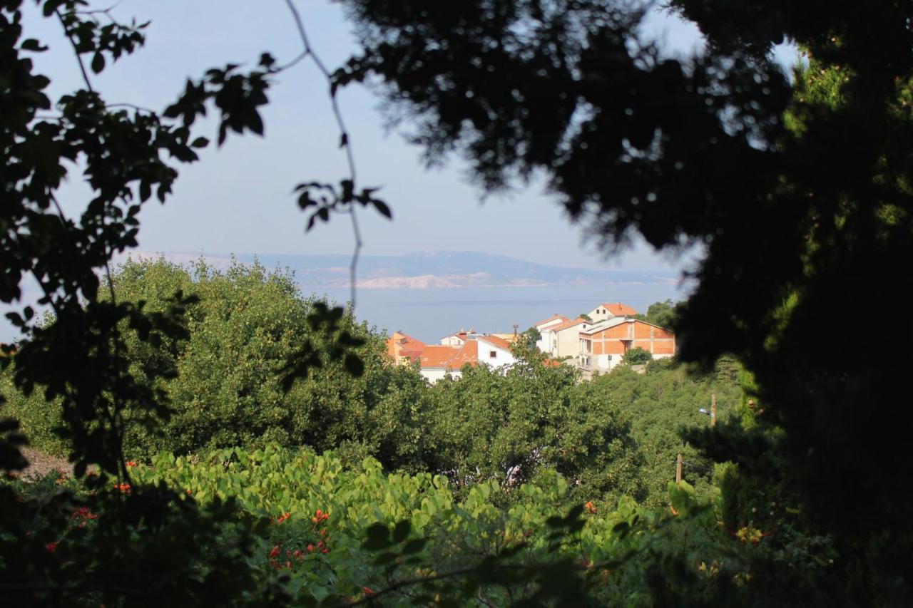 Apartments And Rooms With Parking Space Klenovica, Novi Vinodolski - 5590 Exteriör bild